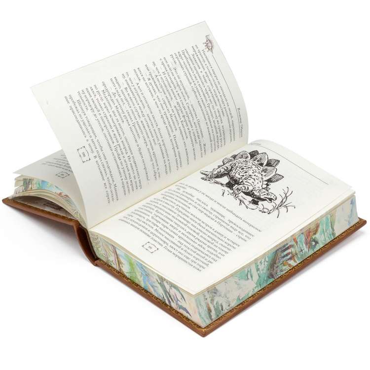 Подарочная книга Плутония, Земля Санникова, Владимир Обручев в кожаном переплете фото 9 Подарочная книга Плутония, Земля Санникова, Владимир Обручев в кожаном переплете фото 9